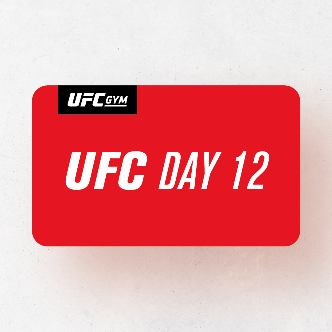UFC DAY 12