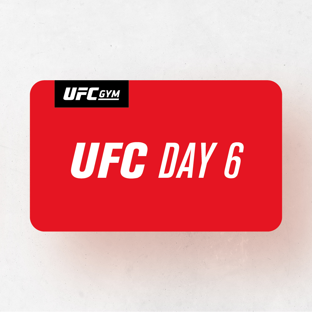 UFC DAY 6